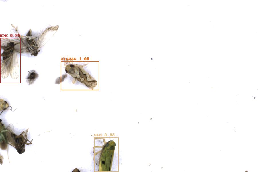 Image 9